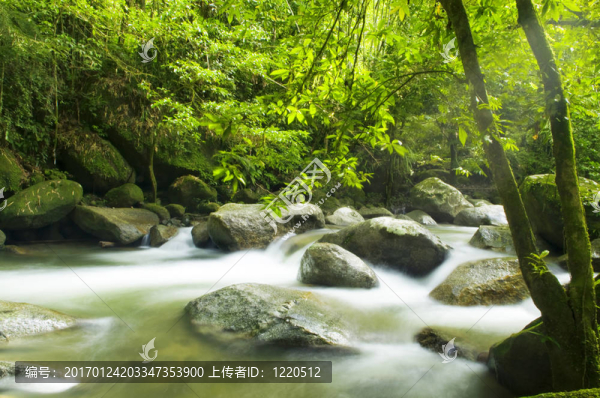 山區(qū)河流