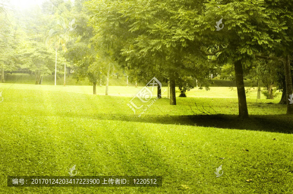 綠地景觀-匯圖網(wǎng) www.fosd68.com 綠地景觀