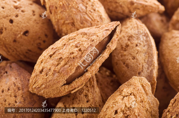 杏仁堅果