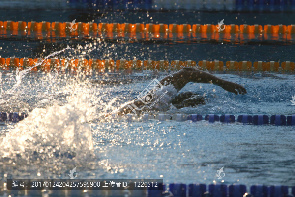 游泳-匯圖網(wǎng) www.fosd68.com 游泳