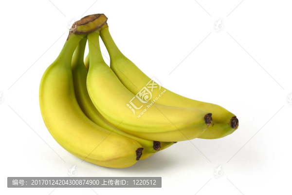 一串香蕉-匯圖網(wǎng) www.fosd68.com 一串香蕉