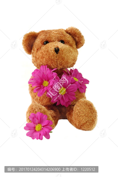 泰迪熊和Pink,Flowers
