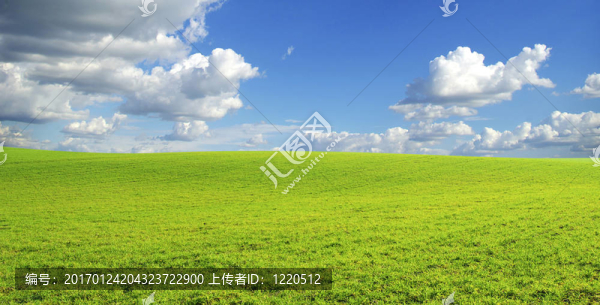 領(lǐng)域