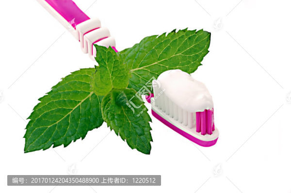 薄荷牙膏和牙刷。