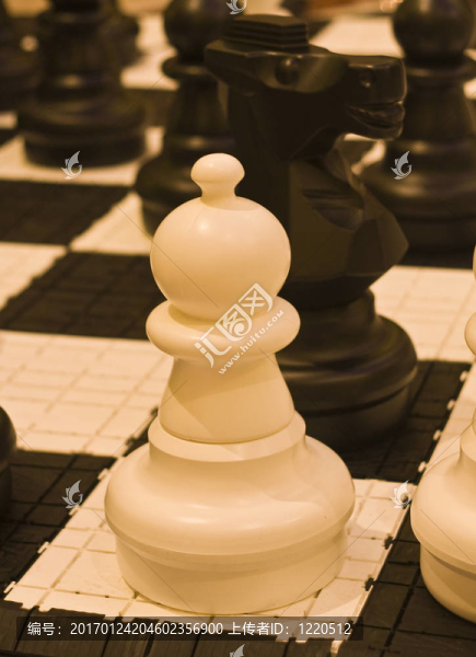 國(guó)際象棋棋子