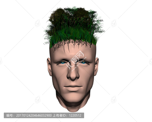 三維人頭與葉和樹(shù)-匯圖網(wǎng) www.fosd68.com 三維人頭與葉和樹(shù)