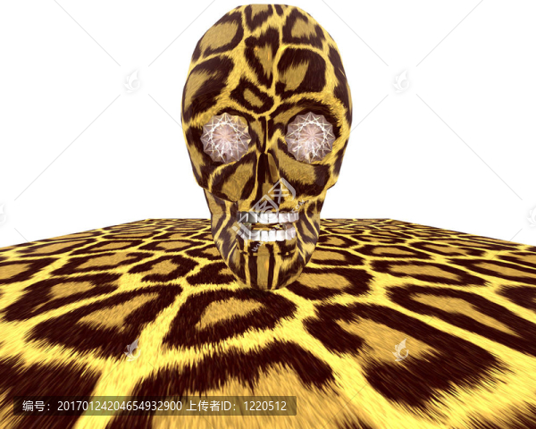 豹紋紋理的頭骨