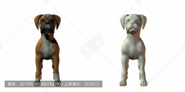 狗三維模型