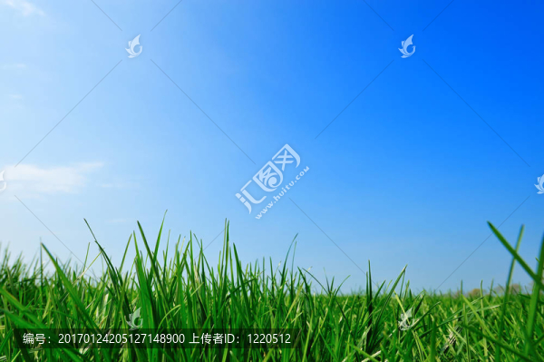 夏天的背景