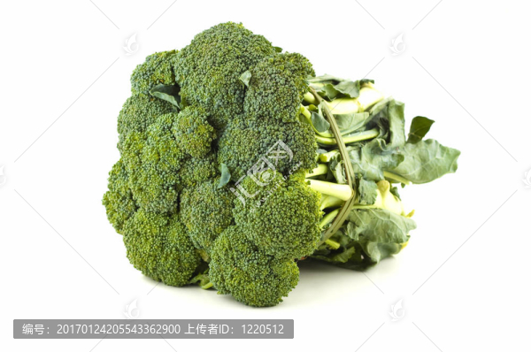 新鮮的broccili束。