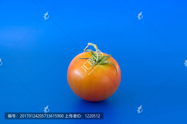 番茄