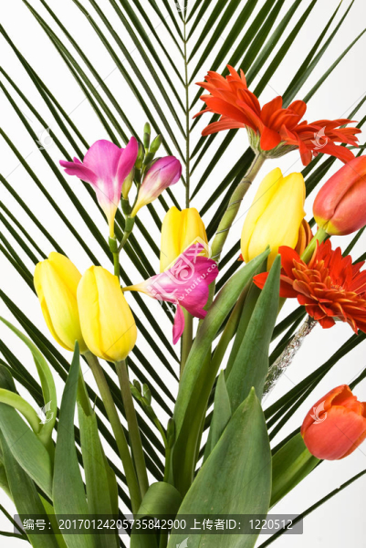 一串春天的花