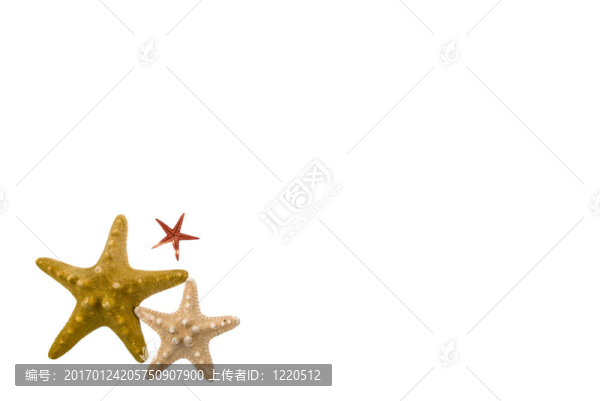 星形架