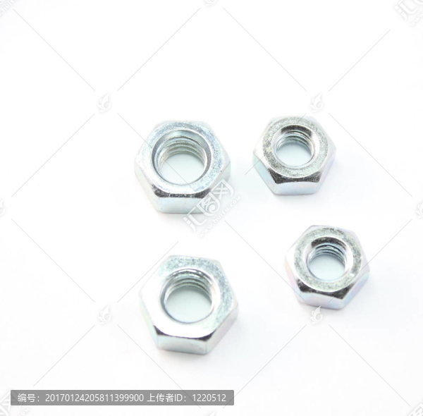 堅(jiān)果兩尺寸