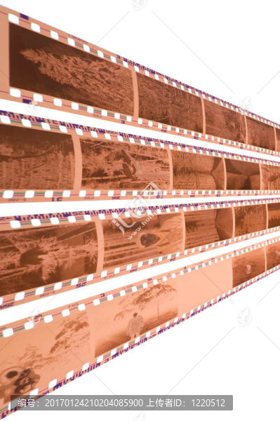 白人對白人的否定