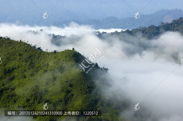 霧蒙蒙的早晨