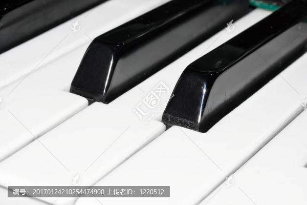鋼琴鍵盤