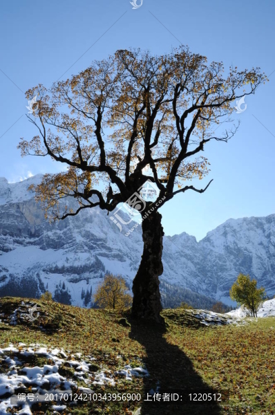 高山143-匯圖網(wǎng) www.fosd68.com 高山143