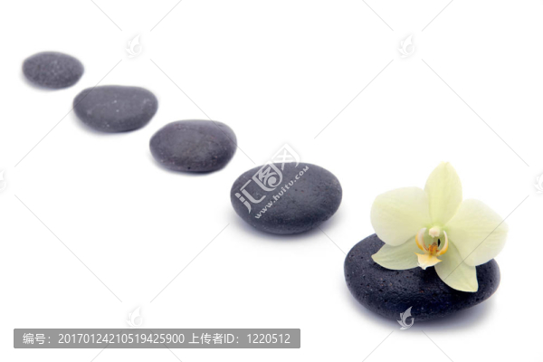 與蘭花分離的禪石。SPA的背景