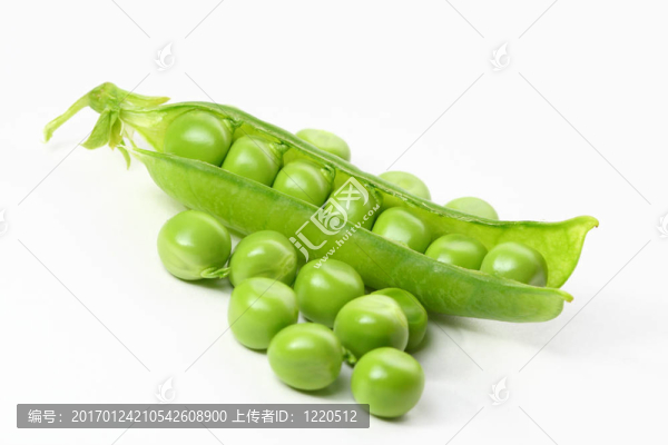 孤立的豌豆