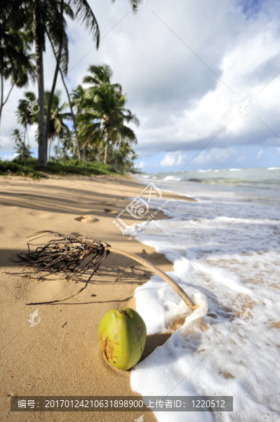 天堂海灘-匯圖網(wǎng) www.fosd68.com 天堂海灘