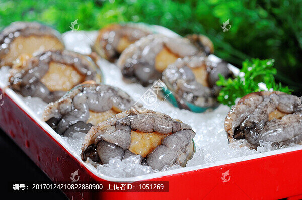 鮑魚仔
