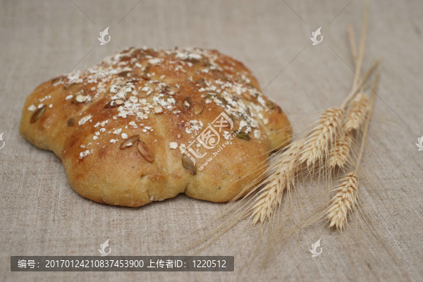 想面包和wheatears