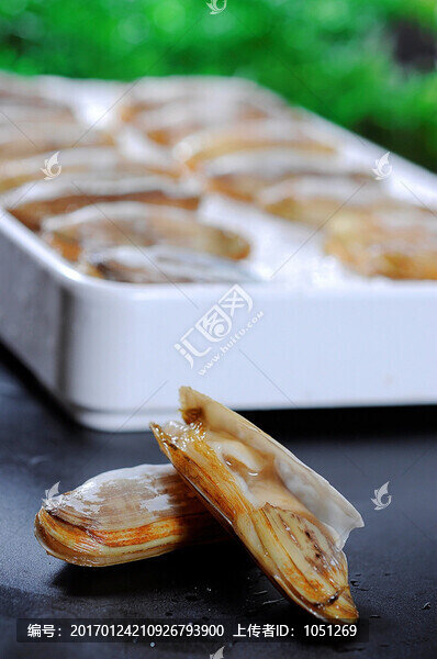 蟶子-匯圖網(wǎng) www.fosd68.com 蟶子