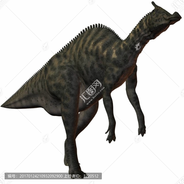 櫛龍angustirostris-3d恐龍