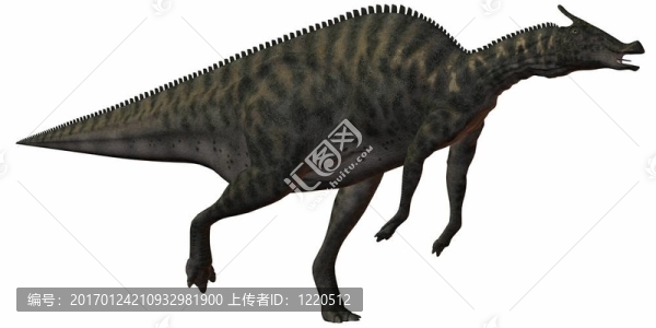 櫛龍angustirostris-3d恐龍