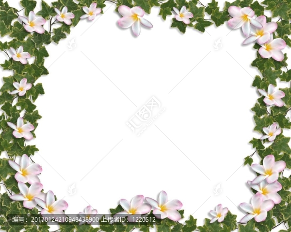 常春藤和雞蛋花花邊的邀請