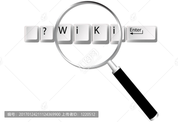 維基鍵放大鏡查找信息