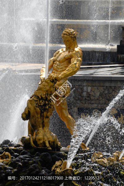 Great,Samson噴泉在Peterhof；圣彼得堡；俄羅斯。