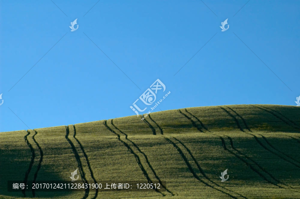 與拖拉機(jī)輪胎軌道內(nèi)襯的字段