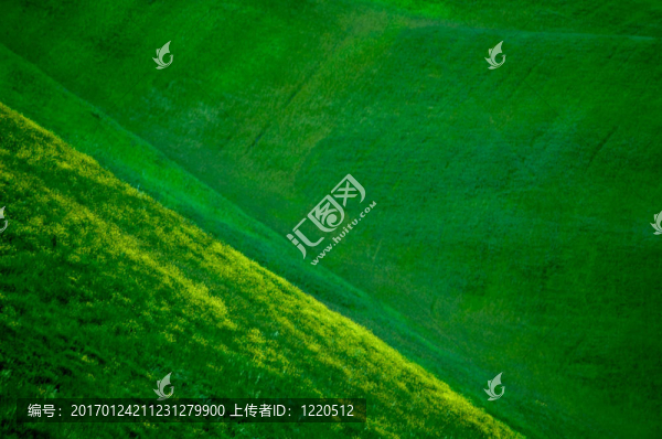 麥田綠地