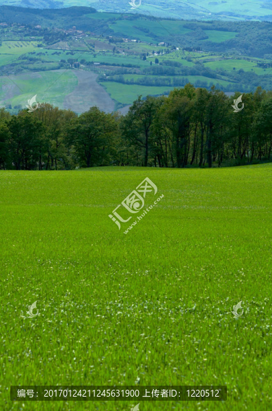 意大利領(lǐng)域