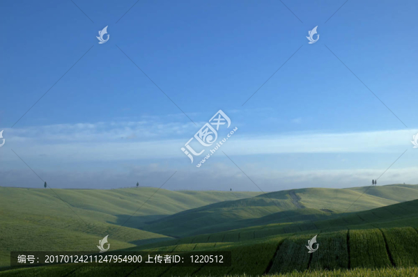 麥田綠地