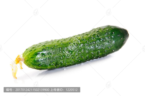 黃瓜
