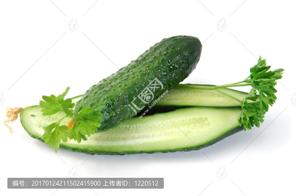 鮮黃瓜
