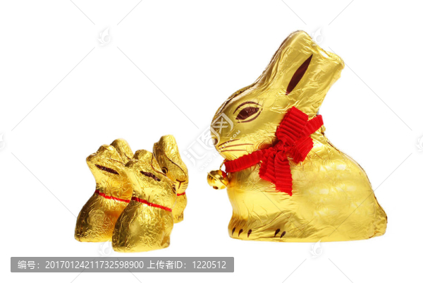 金色的巧克力復活節(jié)兔子的家庭