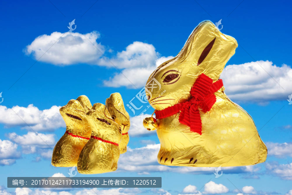金色的巧克力復活節(jié)兔子的家庭