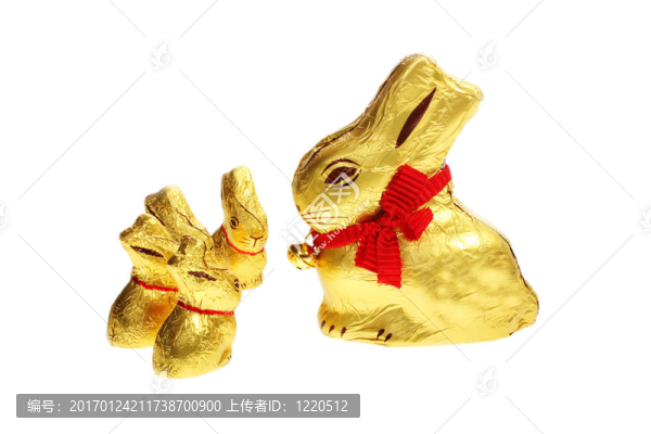 金色的巧克力復(fù)活節(jié)兔子的家庭