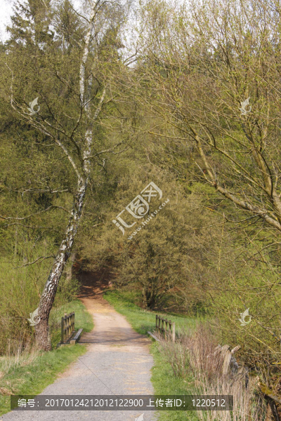 農(nóng)村的橋梁