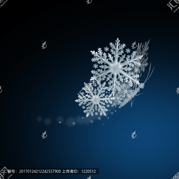 雪蝶