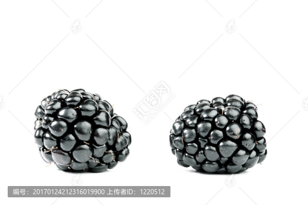 黑莓