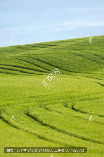 綠色的小山和藍(lán)色的天空
