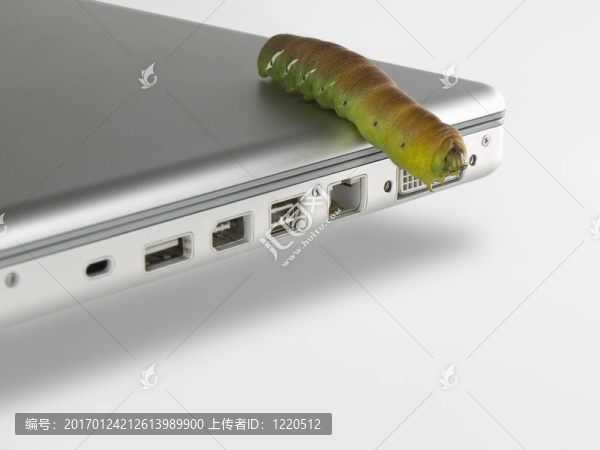 計(jì)算機(jī)的bug
