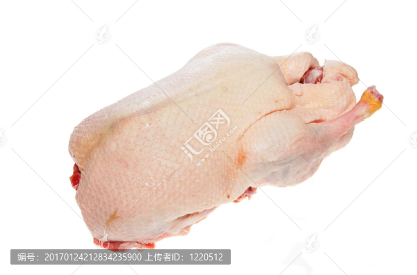 原料鴨
