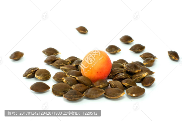 一些核上的單杏