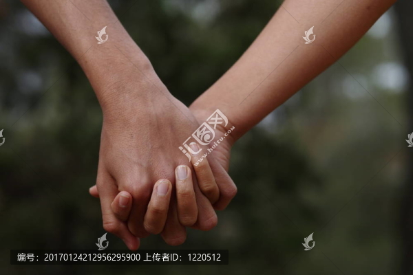 情侶們在森林里牽手（夏天/春天）